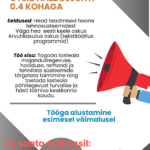 Mustvee Lasteaed otsib HALDUSJUHTI